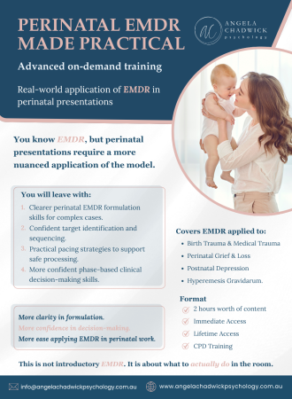 Perinatal EMDR Made Practical